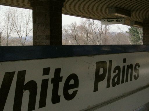white plains